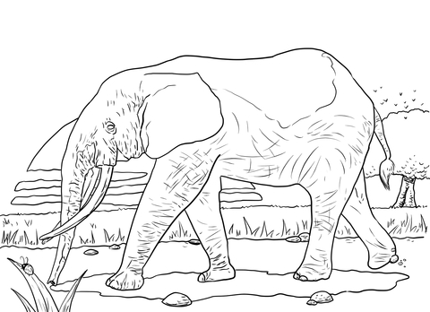 African Forest Elephant Coloring Page